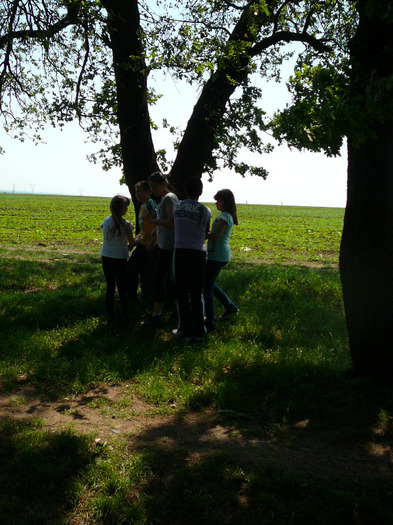 P1260579 - 14 mai 2011 - padure