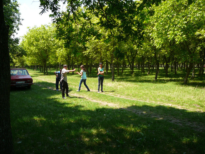 P1260637 - 14 mai 2011 - padure