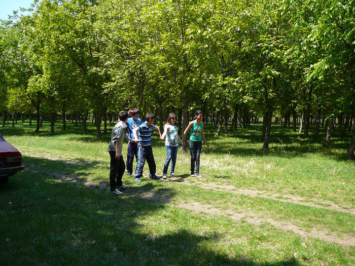 P1260639 - 14 mai 2011 - padure