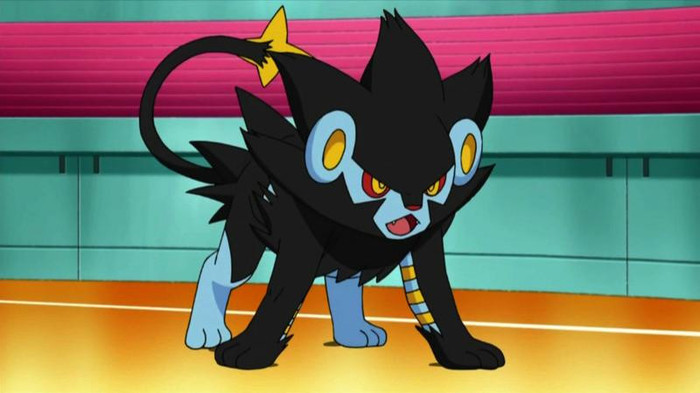 Luxray(A evoluat lixio)Baiat lvl 1234567 stie toate miscarile tip electric si tip normal!