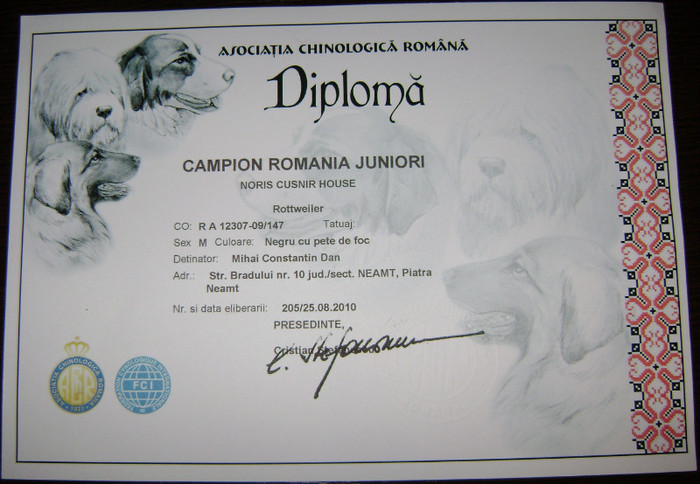 Diploma CAMPION - 02-Noris Cusnir House