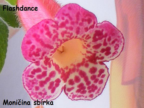 flash dance - nu e poza mea