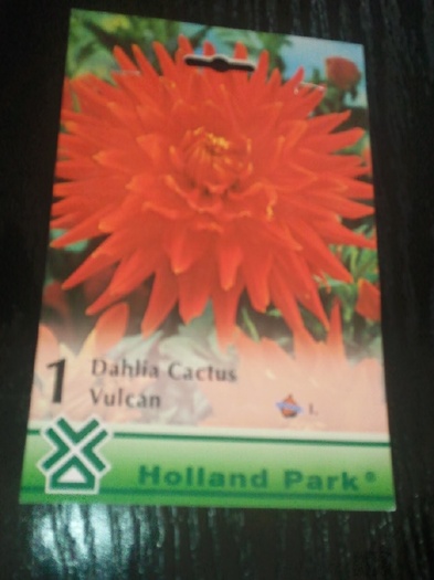 Photo019 - achizitii-00