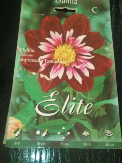Photo024 - achizitii-00