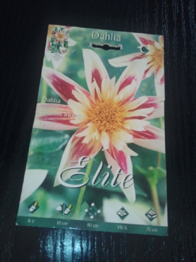 Photo026 - achizitii-00