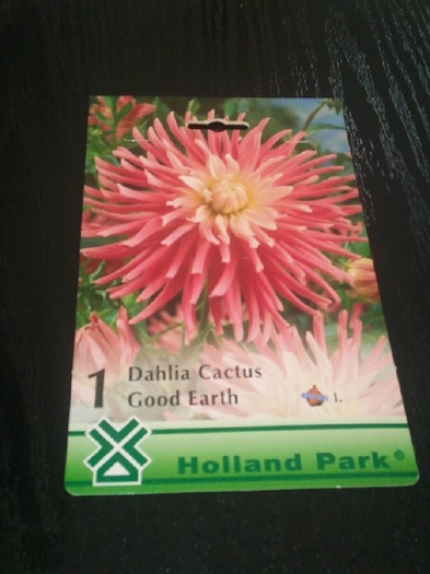 Photo027 - achizitii-00