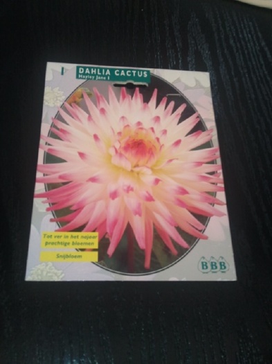 Photo028 - achizitii-00