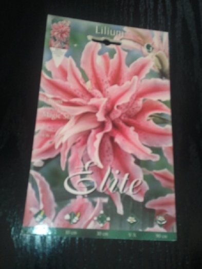 Photo029 - achizitii-00