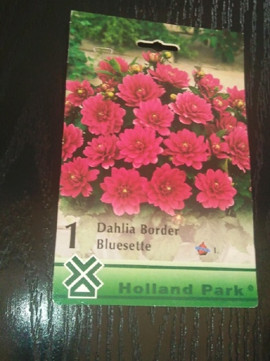 Photo032 - achizitii-00