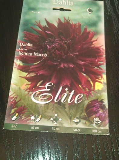 Photo035 - achizitii-00