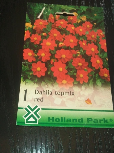 Photo036 - achizitii-00