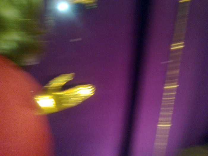 14052011423 - MUZEUL DE ISTORIE