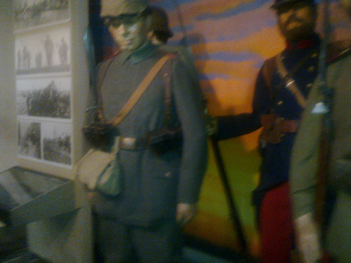 14052011470 - MUZEUL DE ISTORIE