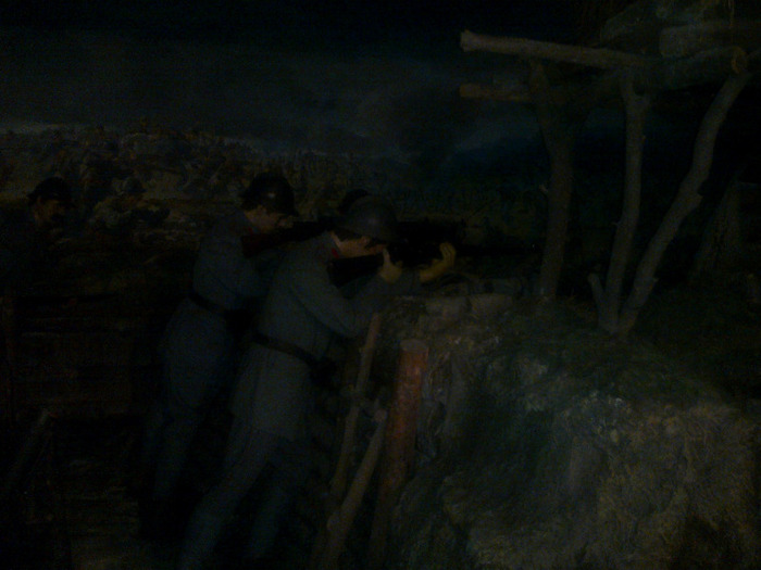 14052011473 - MUZEUL DE ISTORIE