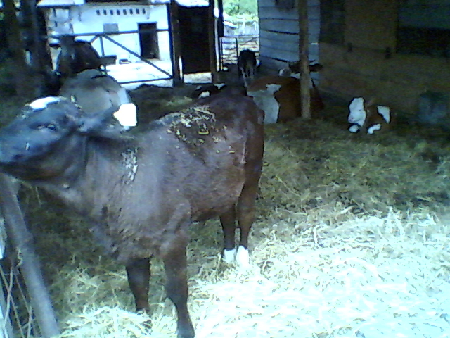 2011_05_15_13_15_14_466