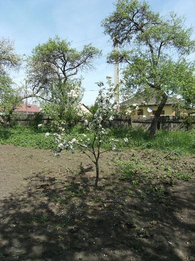 15 mai 2011 002