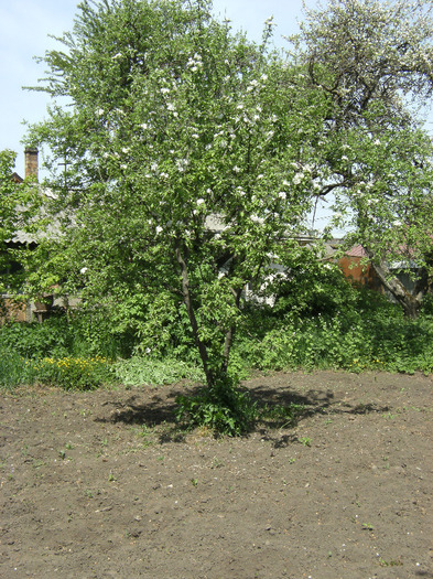 15 mai 2011 003