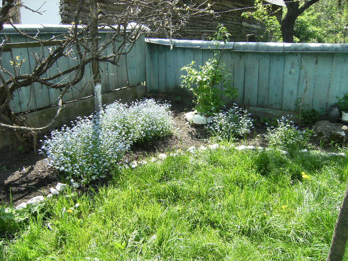 15 mai 2011 021