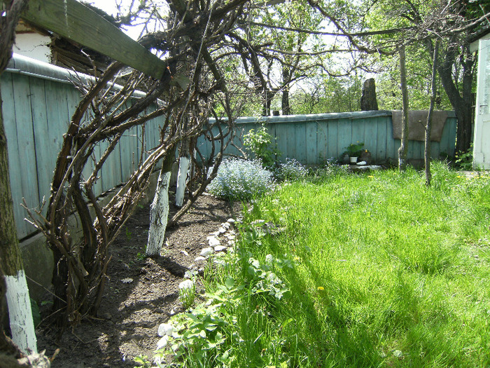 15 mai 2011 031