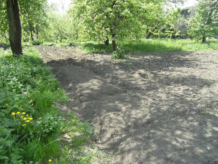 15 mai 2011 032