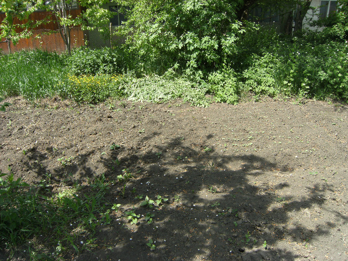 15 mai 2011 035