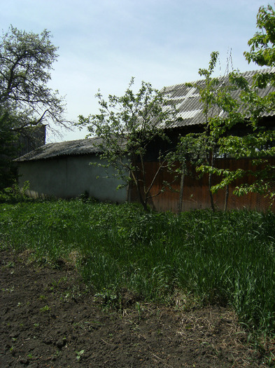 15 mai 2011 036