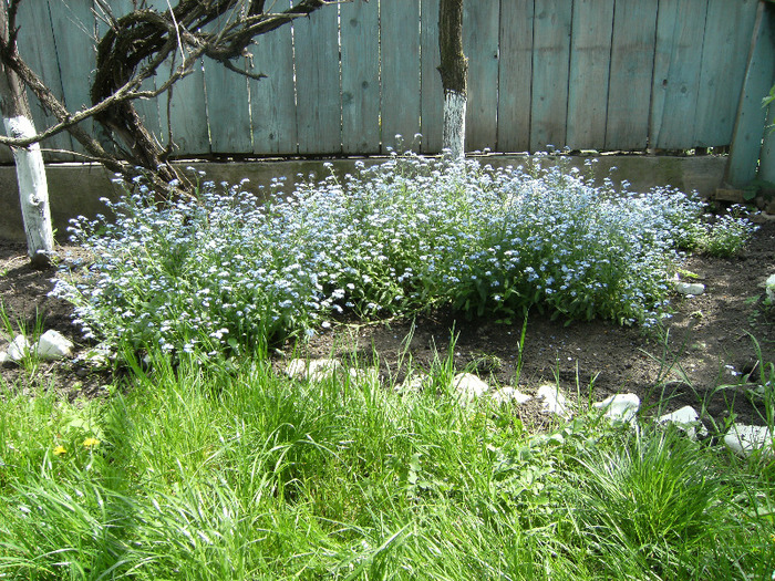 15 mai 2011 037