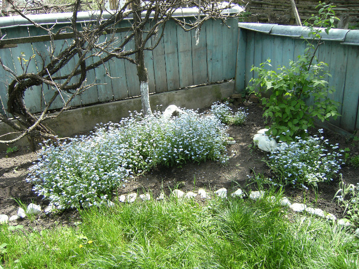 15 mai 2011 040