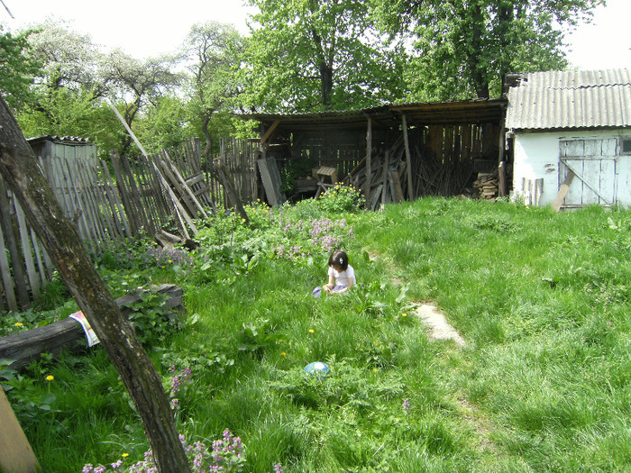 15 mai 2011 041