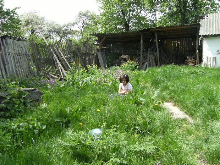15 mai 2011 042
