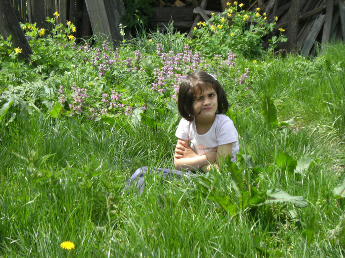 15 mai 2011 043