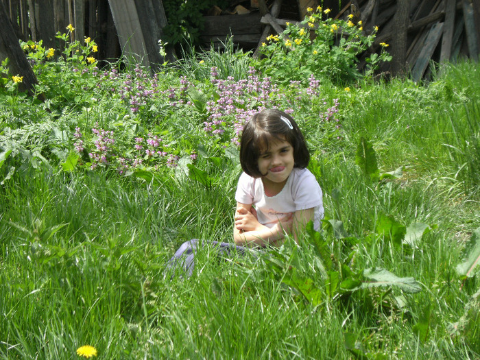 15 mai 2011 044