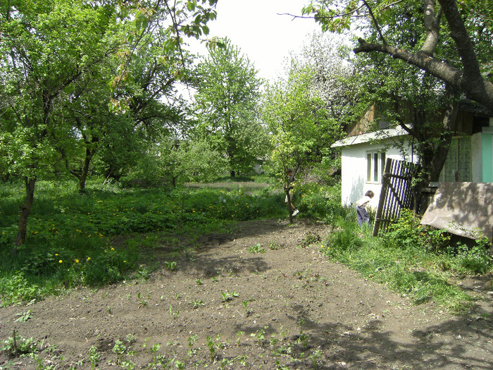 15 mai 2011 052