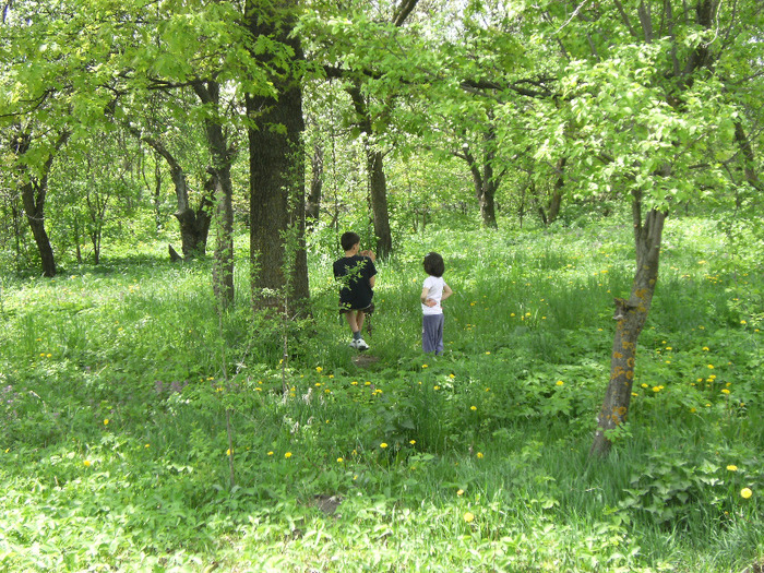 15 mai 2011 054