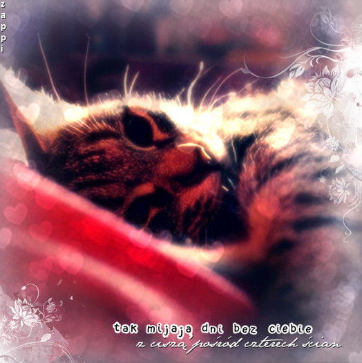 35535344_CXMGIULZA