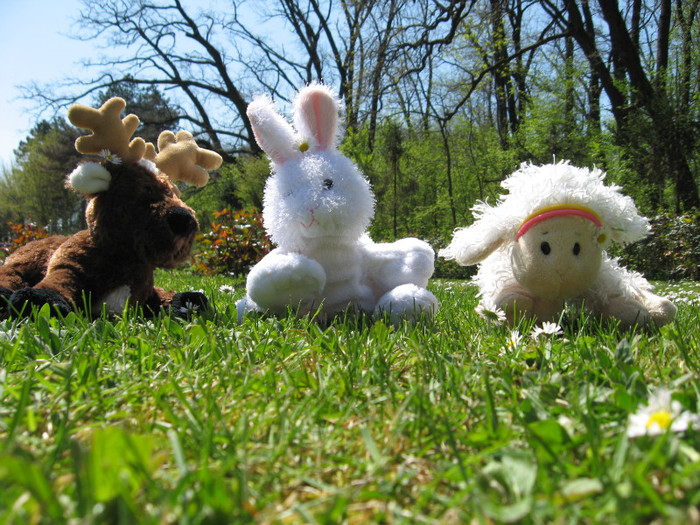 maxy si prieteni - 0 Yuppy WebkinzForIepuAndJess 1000