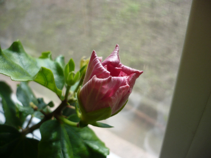 P1060876