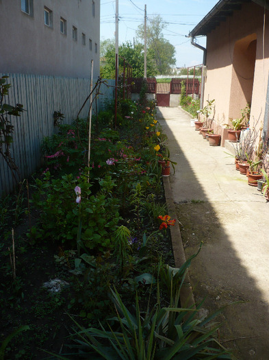 P1060906