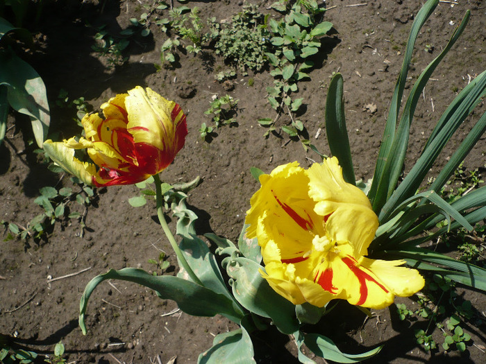 P1060940
