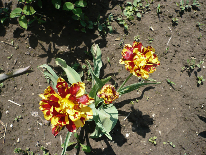 P1060941