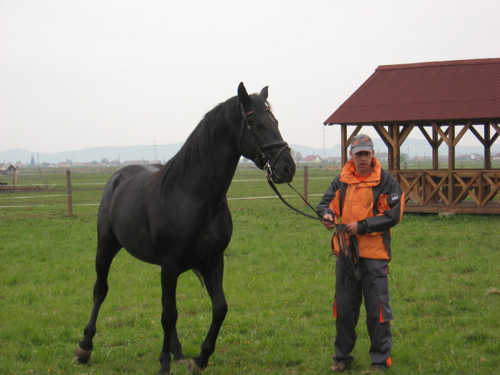 IMG_0814 - ECHITATIE 2011