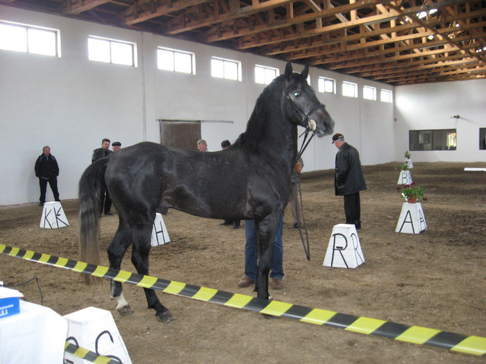 IMG_0850 - ECHITATIE 2011