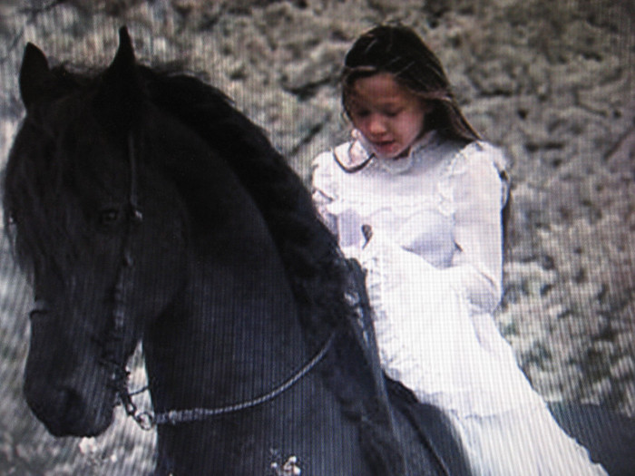 IMG_0857 - ECHITATIE 2011