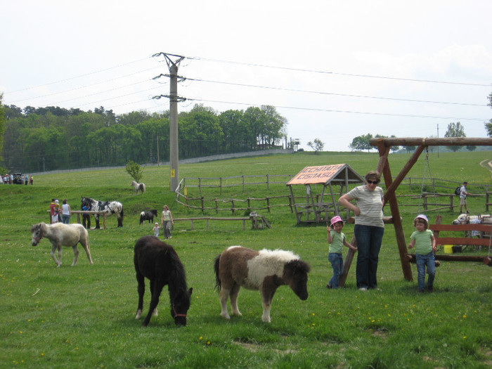 IMG_0888 - ECHITATIE 2011