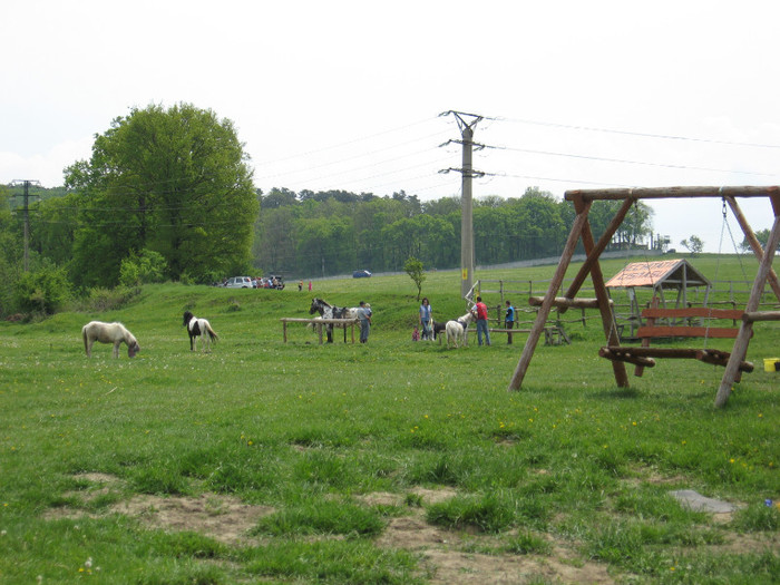 IMG_0891 - ECHITATIE 2011