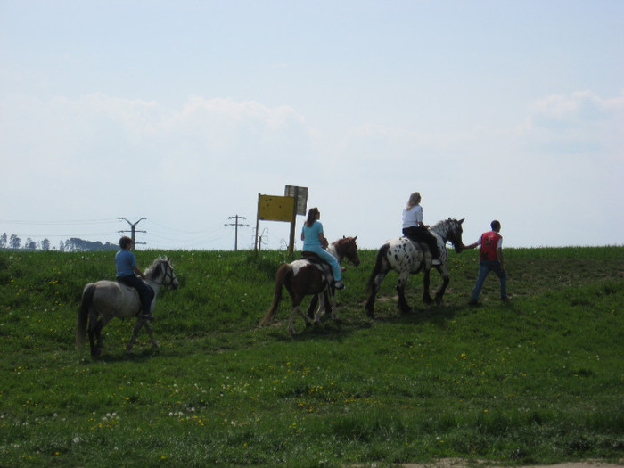 IMG_0893 - ECHITATIE 2011