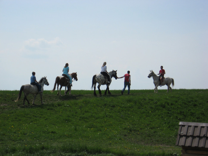 IMG_0895 - ECHITATIE 2011