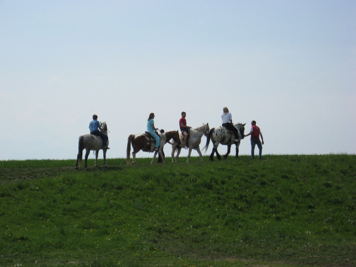 IMG_0896 - ECHITATIE 2011