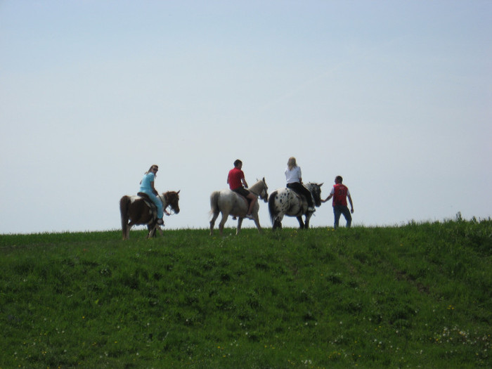 IMG_0897 - ECHITATIE 2011