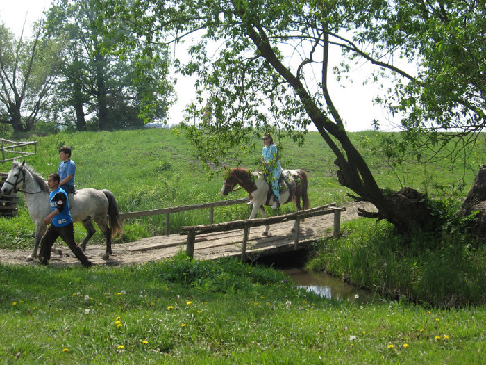 IMG_0901 - ECHITATIE 2011